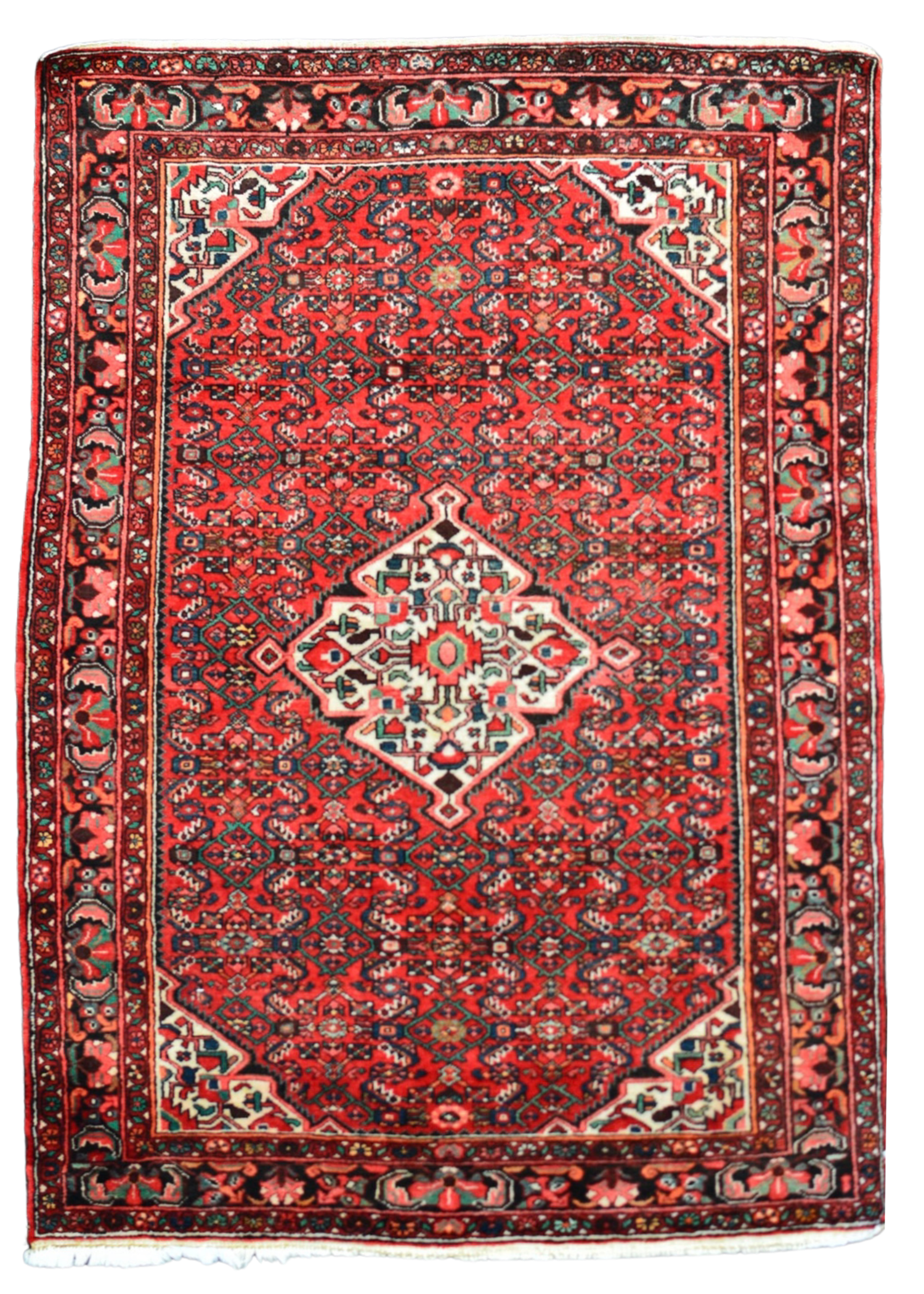Persian Hamadan Rug - 5'0" x 7'0" (#101494)